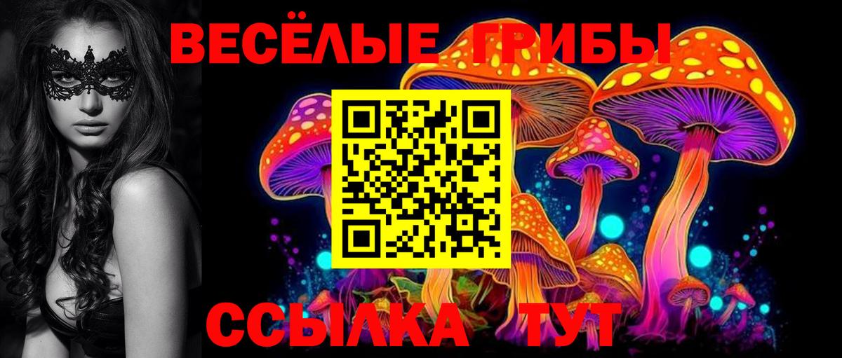 Псилоцибиновые грибы мицелий Шали